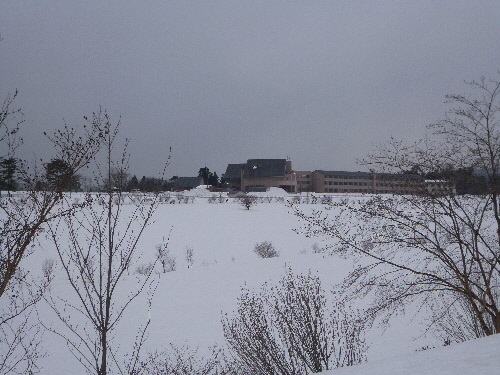 P1140672(1).JPG