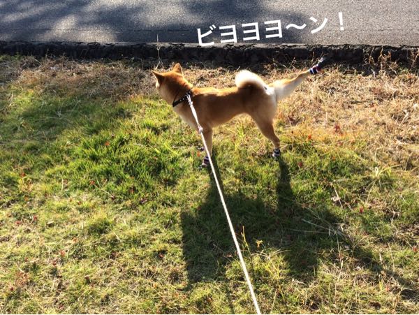 rblog-20161117102312-05.jpg