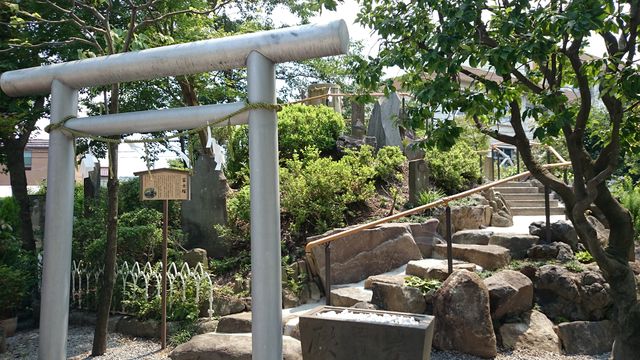 2015-07-12 13.11.31.jpg