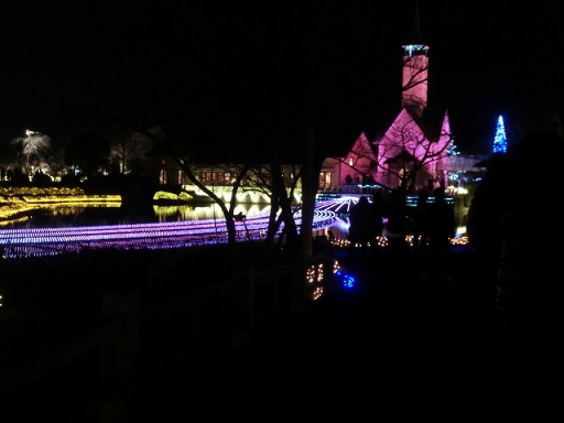 CIMG0511.JPG