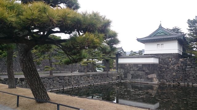 2016-01-17 12.37.02.jpg