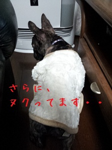 20121018_210835.jpg