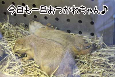 夜１２.JPG
