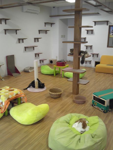 20150907 (27).JPG