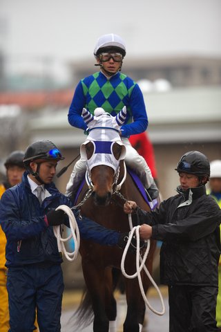 パドック