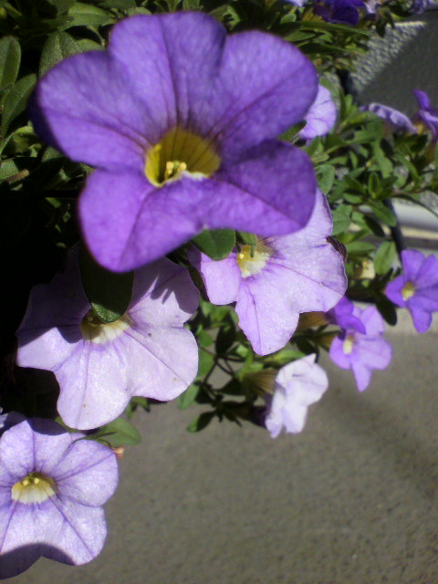 2013010212430002.jpg