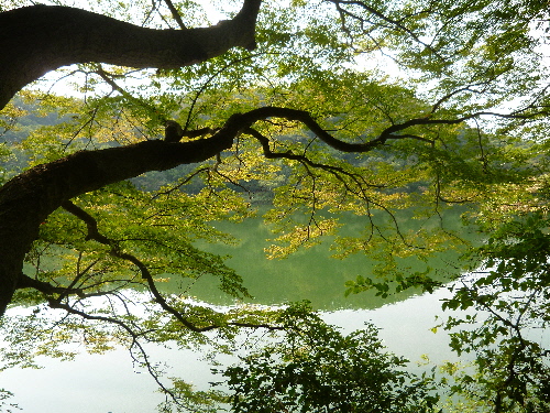 P1130601(1).JPG