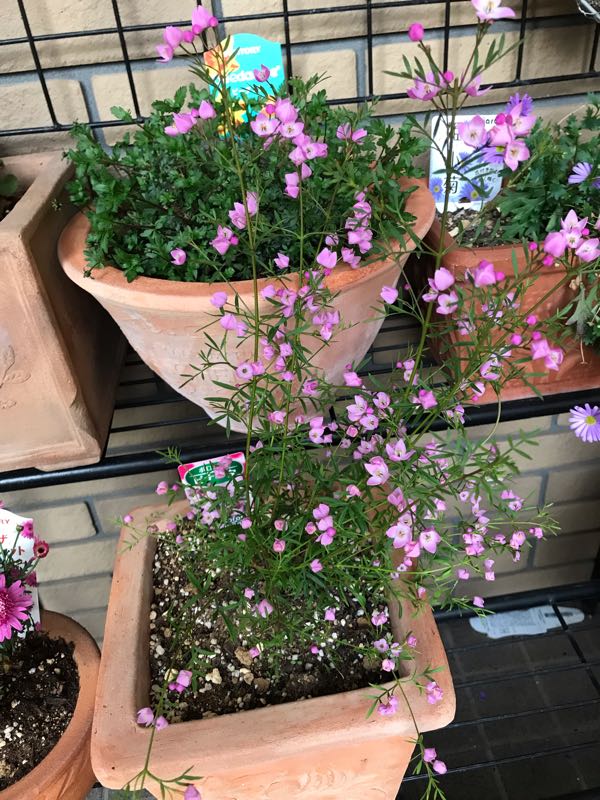 rblog-20190423182021-06.jpg