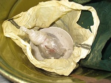 IMG_1582縮小 - コピー.jpg