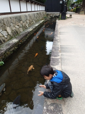norikura131014022