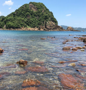 透明度