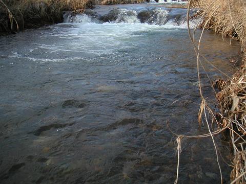 2012.03.25 010.jpg