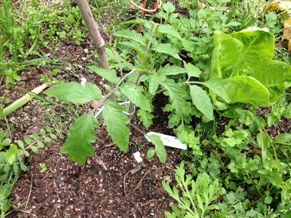 rblog-20170423010325-02.jpg