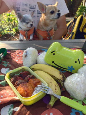お弁当