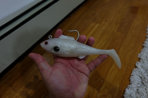 DSCF4411.jpg