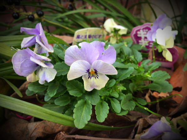 rblog-20161226172722-07.jpg