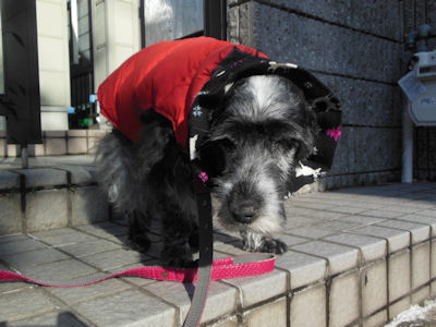 DSCN1440.JPG