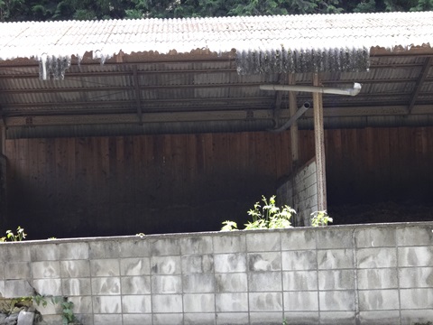 DSC01826.JPG