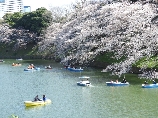 千鳥ヶ淵緑道