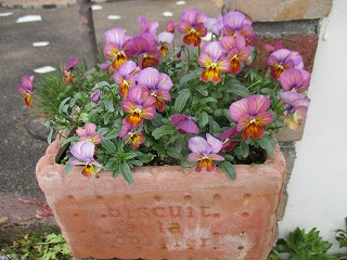 IMG_3798ss.jpg