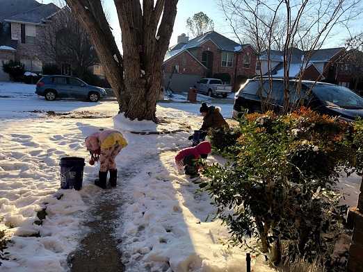February 断水2日目 雪集め ３人娘とダラス生活 楽天ブログ