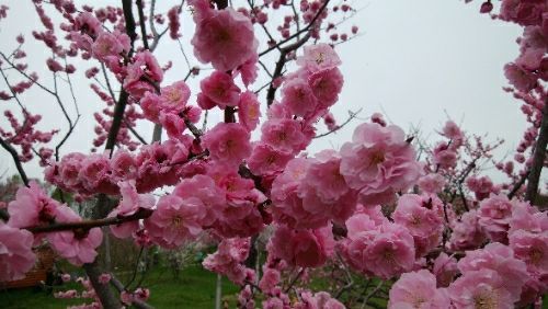 rblog-20180506091414-00.jpg