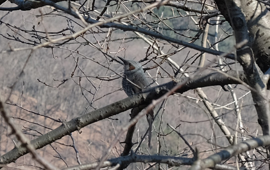 DSCF2436.jpg