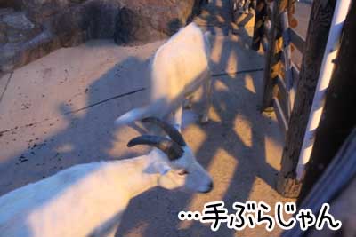 夜９.JPG