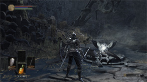 DS11.jpg