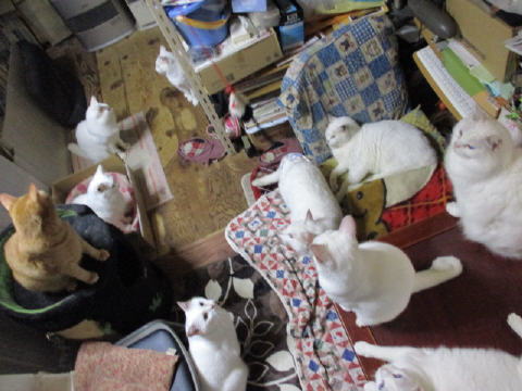 16a0811.jpg
