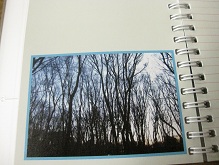 IMG_9405.JPG
