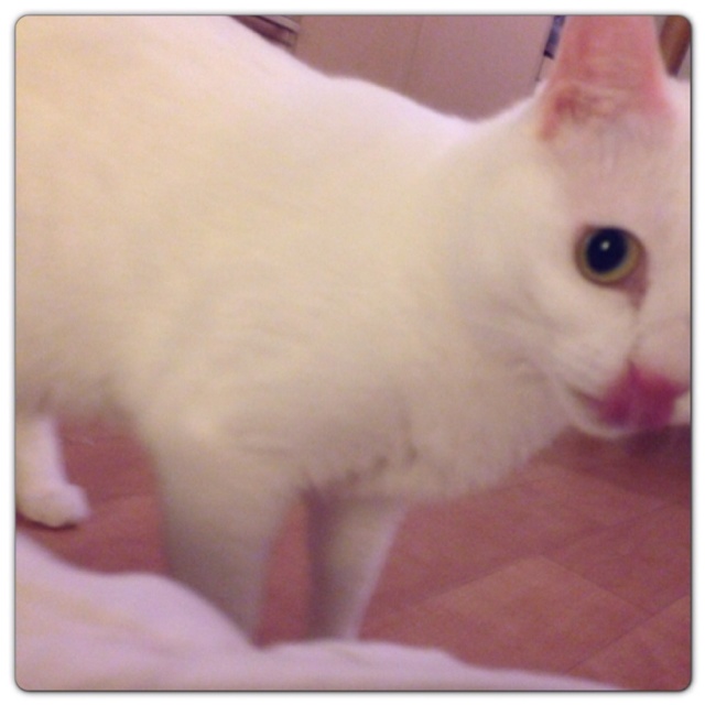 rblog-20130607232041-01.jpg