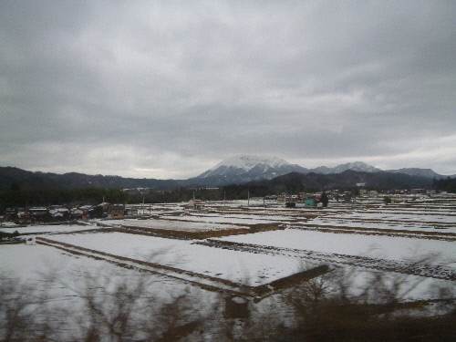 P1140838(1).JPG