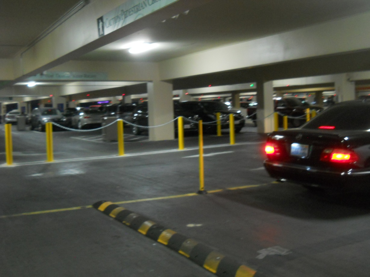 DSCN4629.JPG