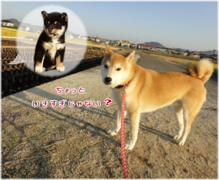 こげこげ4.jpg