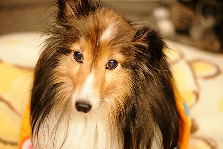 DSC00005.jpg