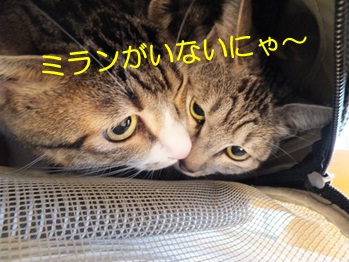 20121006_5.jpg