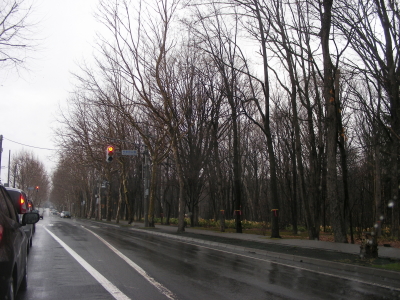04-03street.JPG