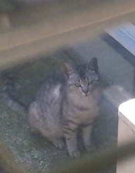 20120626_3.jpg