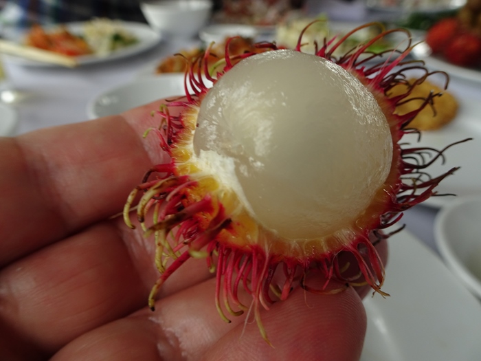 DSC09523_R.JPG