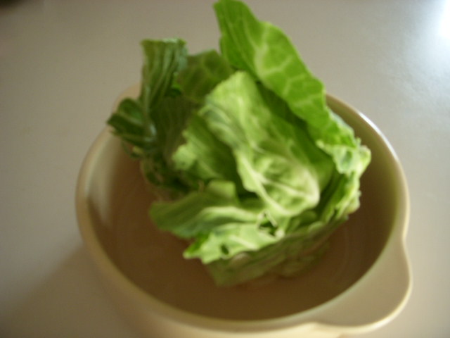SSCN7856.JPG
