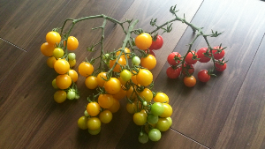 rblog-20130729142149-01.png