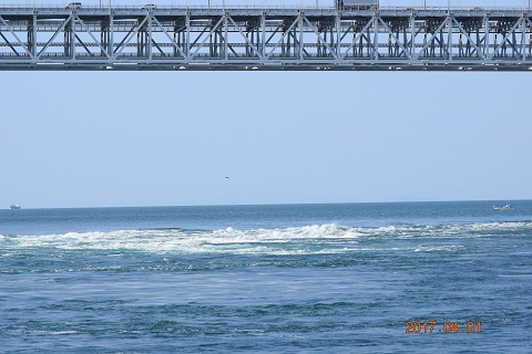 DSC_0123.jpg