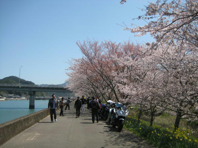 IMG_7955.JPG