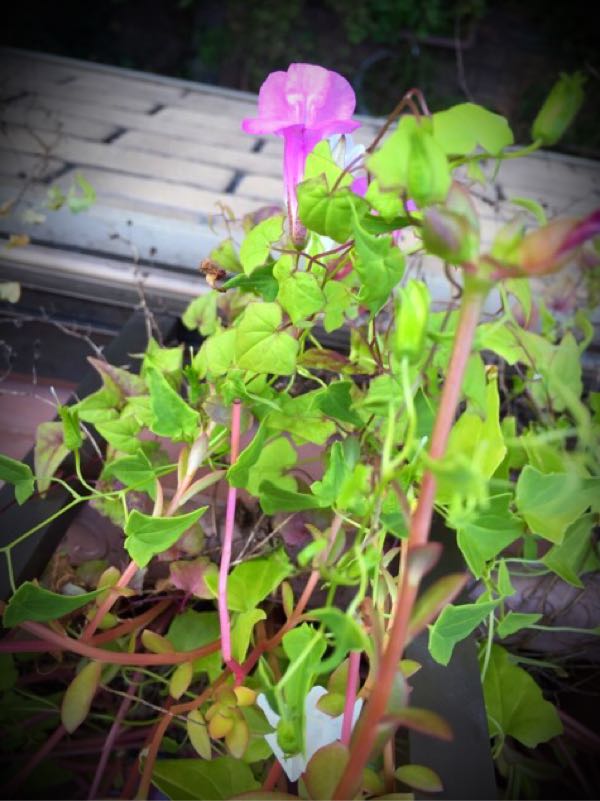 rblog-20151028185017-04.jpg