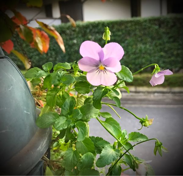 rblog-20161030163233-02.jpg