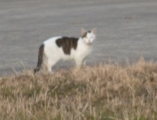 P1280640-ass.jpg