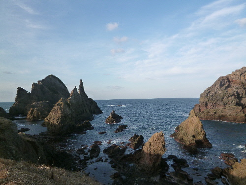 P1140755(1).JPG
