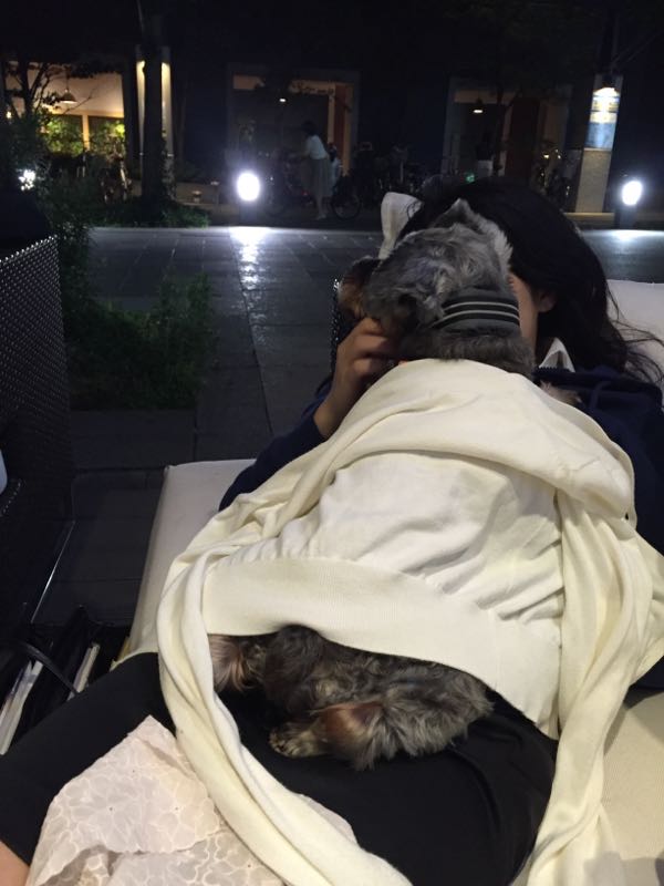 rblog-20160620003325-03.jpg