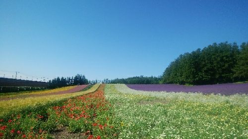 rblog-20180728082751-01.jpg